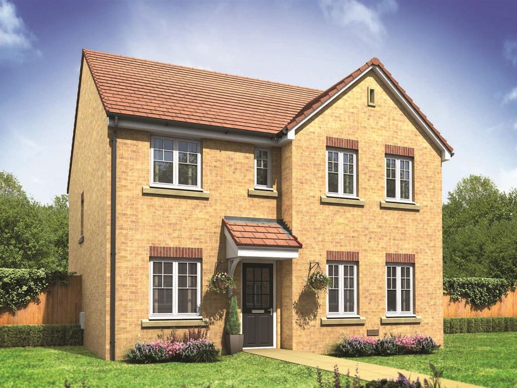 New home, 4 bed detached house for sale in Peterston Park, Bryncae