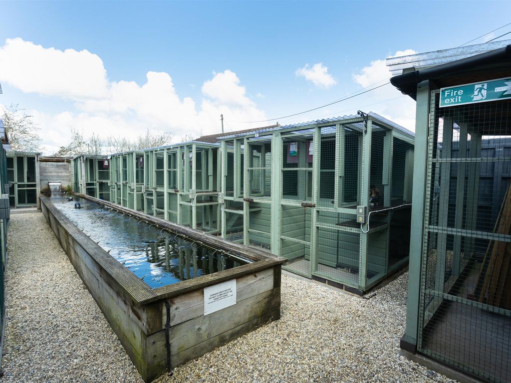 Cattery nearby hotsell