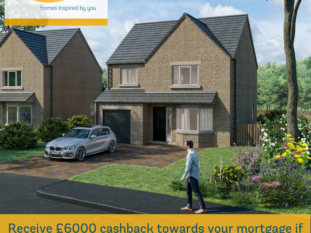 New home, 4 bed detached house for sale in Owen Close, Swanwick DE55