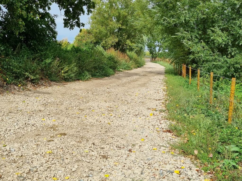 Land for sale in Moor Lane, Wimborne BH21, £13,500 Zoopla