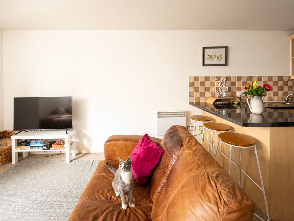 2 bed flat for sale in Bath Buildings, Montpelier, Bristol BS6, £