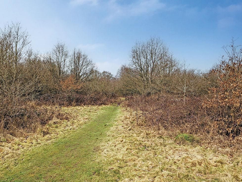 Land for sale in Windmill Lane, Arkley, EN5 Zoopla