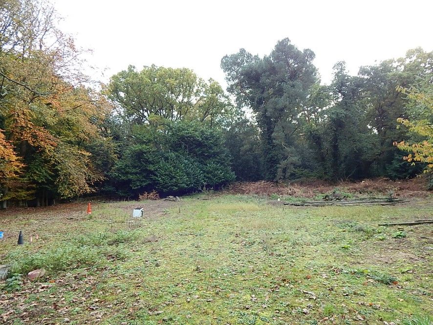 Land for sale in Land Off Cromer Road, High Kelling, Holt, Norfolk NR25, £250,000 Zoopla