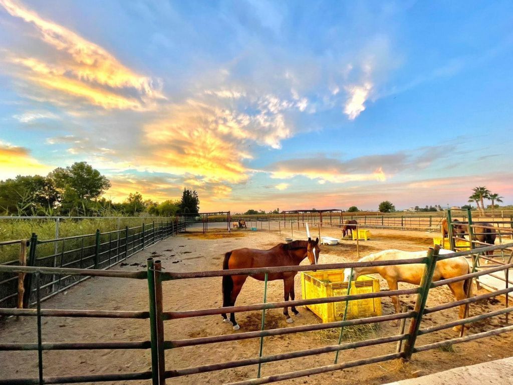 5 bed equestrian property for sale in Valencia, Spain, £601,291 Zoopla