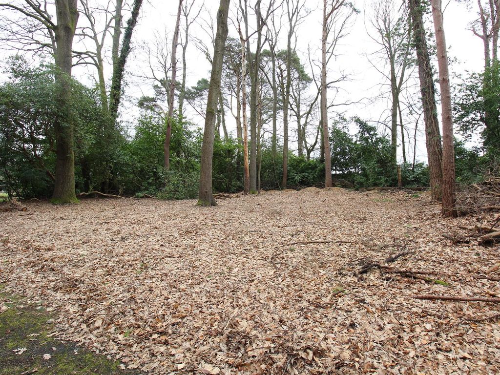 Land to rent in Crawley Hill, West Wellow, Romsey SO51, £500 pcm Zoopla