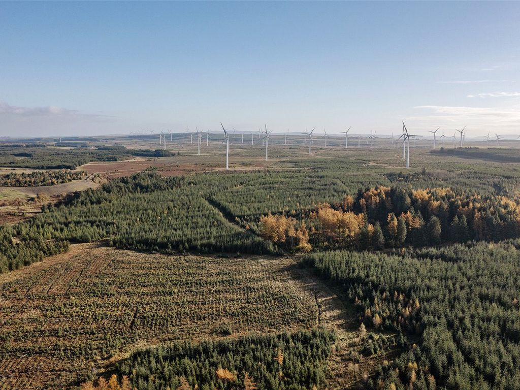 Land for sale in Dura Forest, Allanton, North Lanarkshire ML2, £