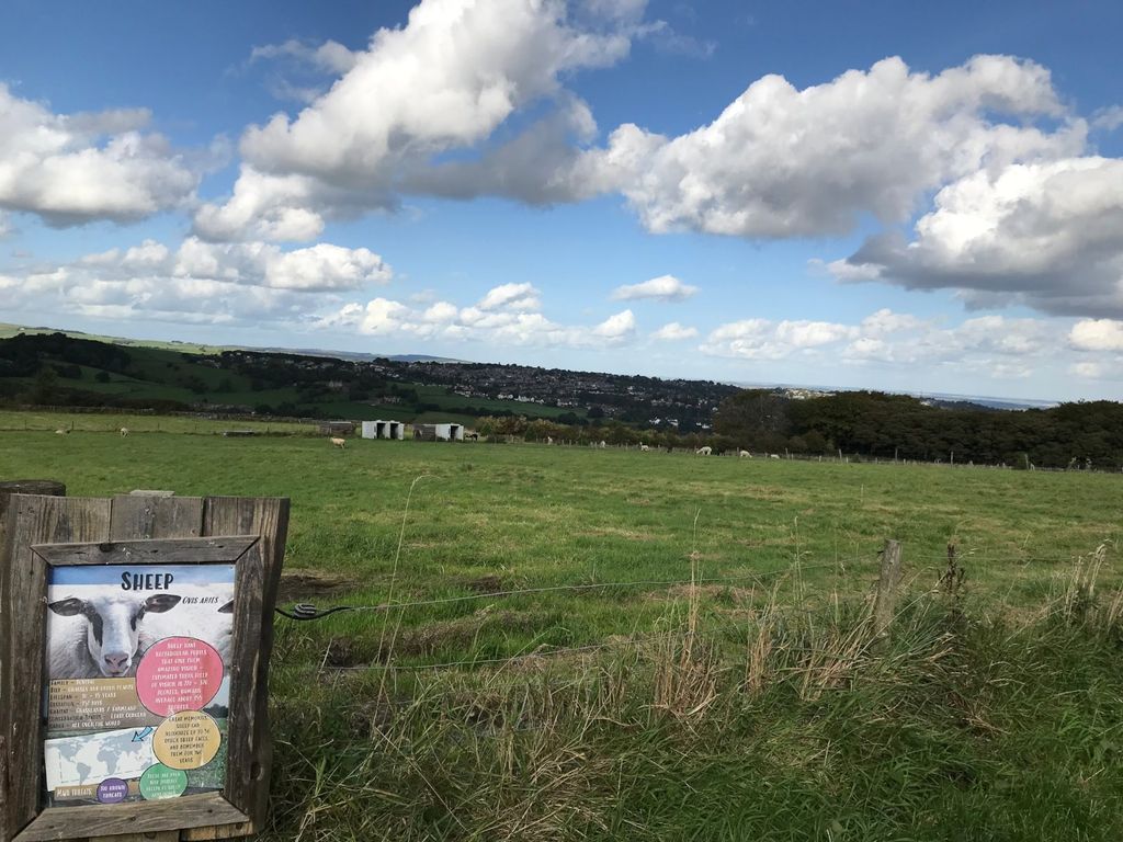 Property for sale in Fulwood Lane, Sheffield, South Yorkshire S10, £