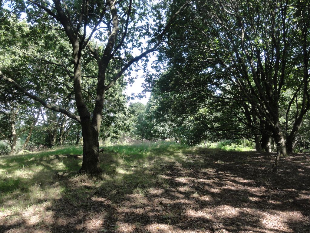 Land for sale in Woodhill Crescent, Horsforth, Leeds LS16, £65,000 Zoopla