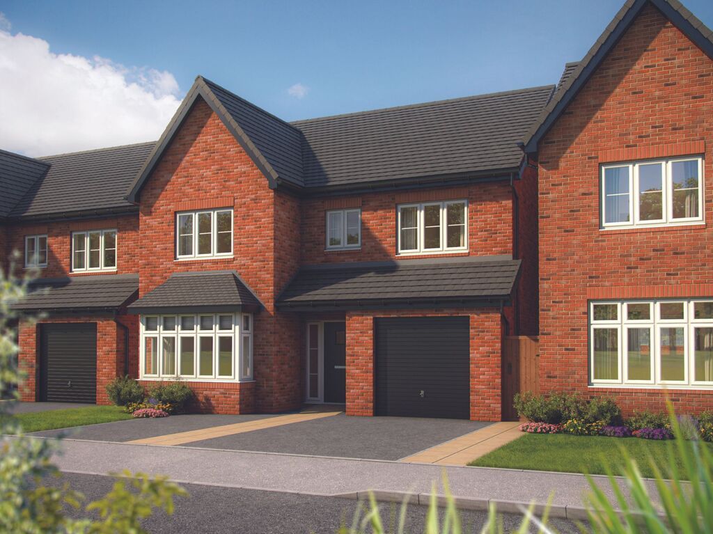 Alder at Oteley Road, Shrewsbury SY2  