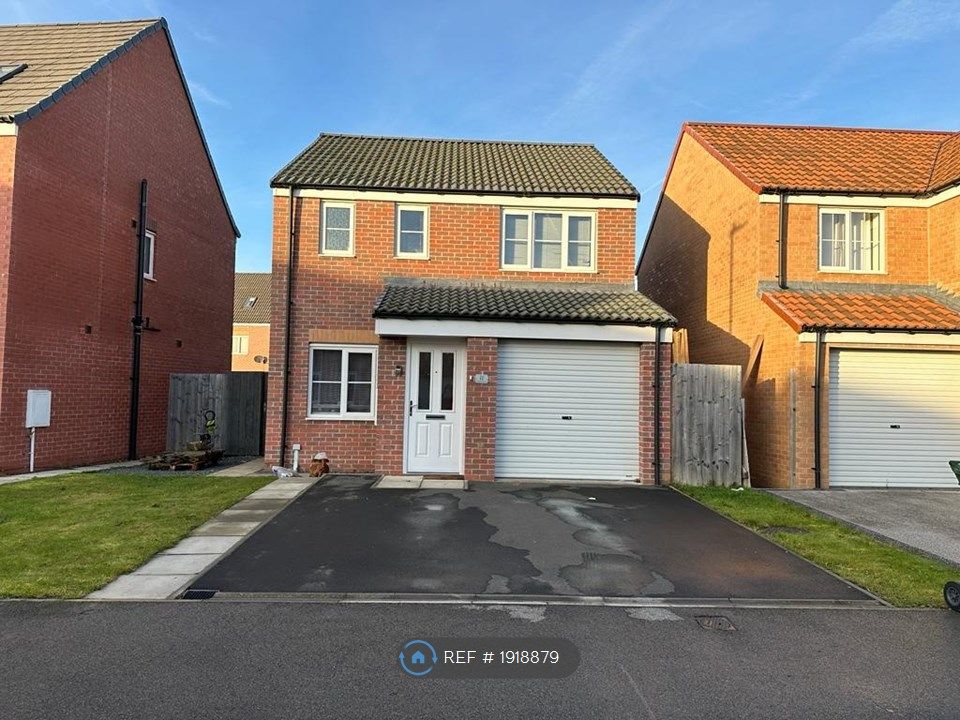 3 bed detached house to rent in Cades Grove, Ingleby Barwick, Stockton