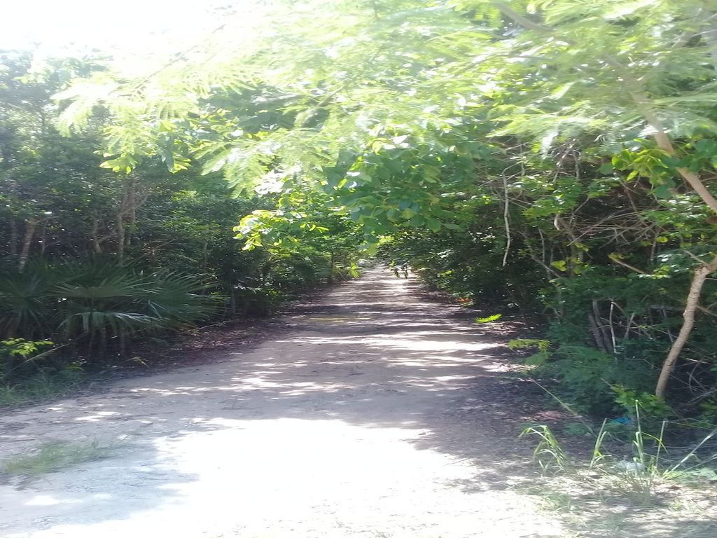 Land for sale in Elbow Cay, The Bahamas, £101,748 Zoopla