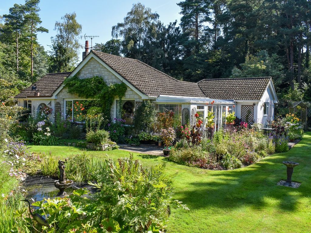 3 bed bungalow for sale in Mays Firs, Hale, Fordingbridge SP6, £882,000