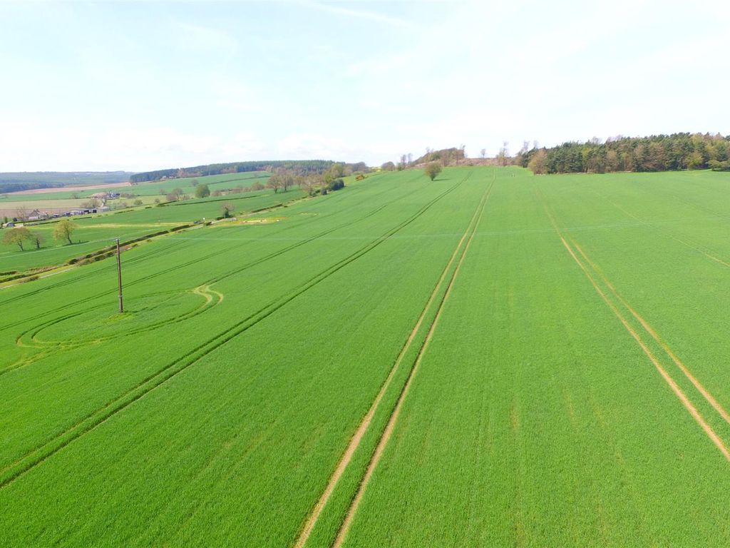 Land for sale in Crook DL15, £950,000 Zoopla