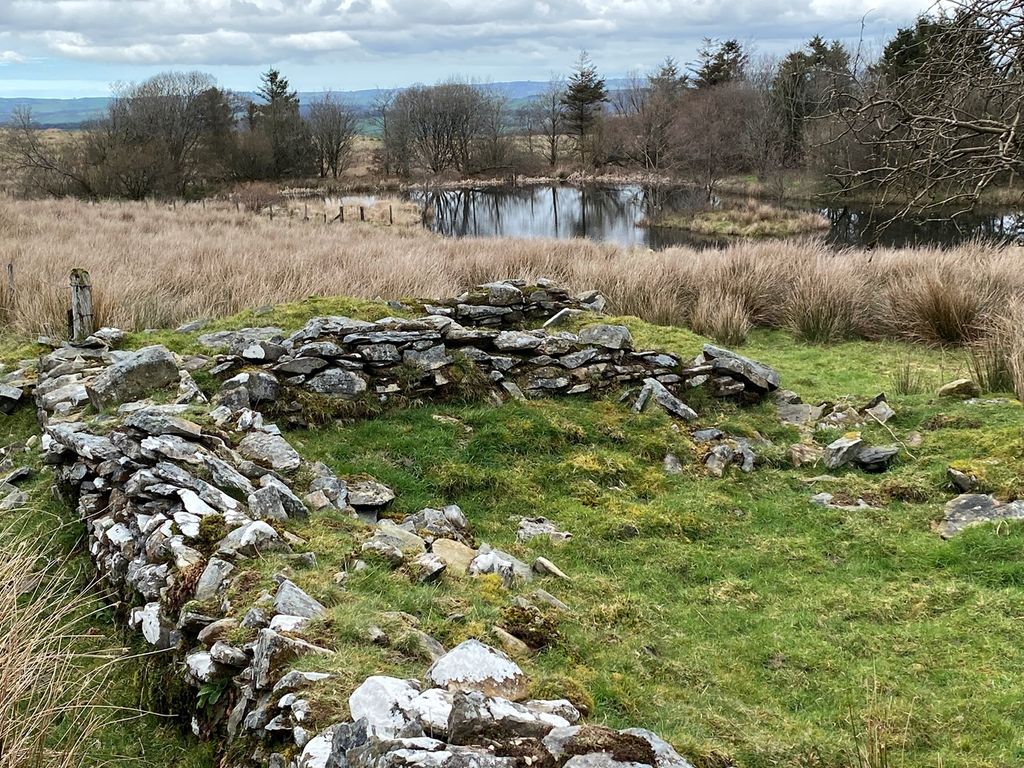 Land for sale in Cellan, Lampeter SA48 Zoopla