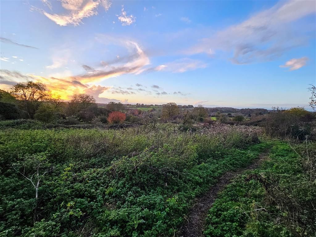 Land for sale in Freemans Yard Lane, Cheriton, Alresford SO24, £50,000