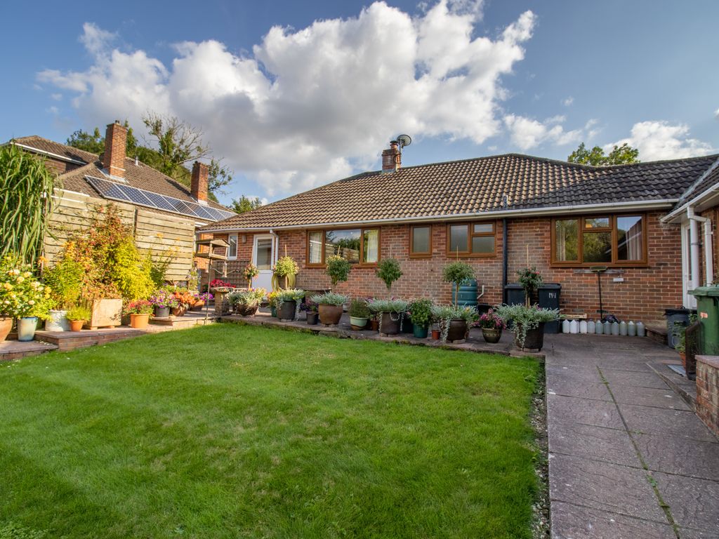 3 bed semidetached bungalow to rent in Petersfield Road, Ropley