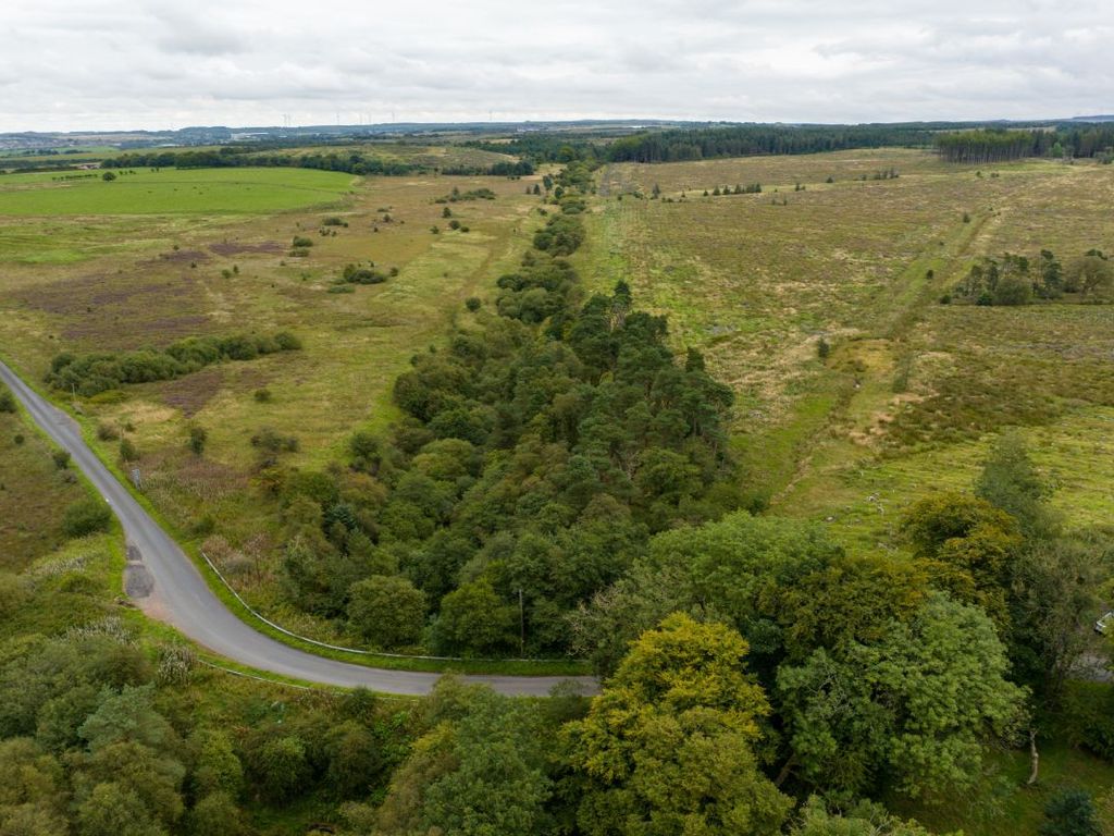 Land for sale in Wishaw ML2, £18,000 Zoopla