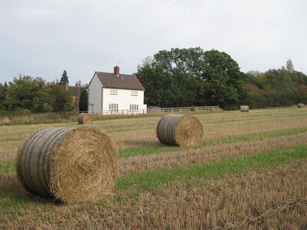 3 bed property to rent in New Lane, Walton On The Wolds, Loughborough