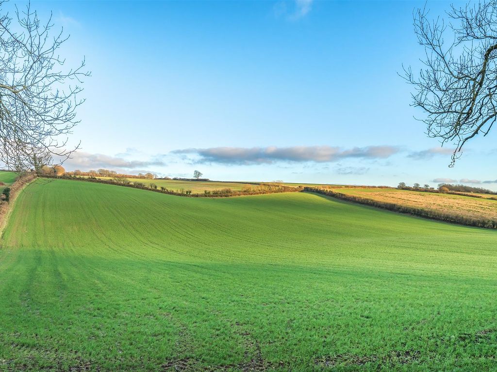 Land for sale in Beaminster DT8, £1,100,000 Zoopla