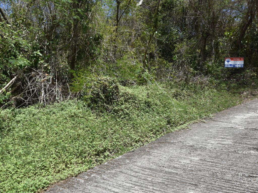 Land for sale in Mount Gay, St Grenada, £118,626 Zoopla