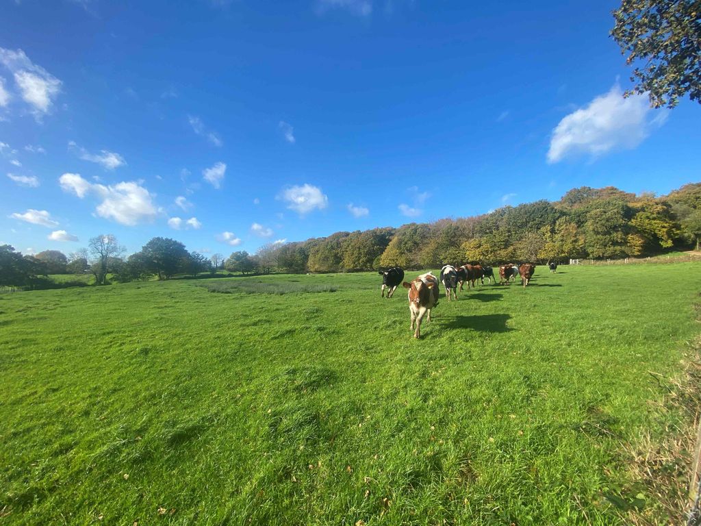 Land for sale in Dewlands Hill, Rotherfield TN6, £160,000 Zoopla