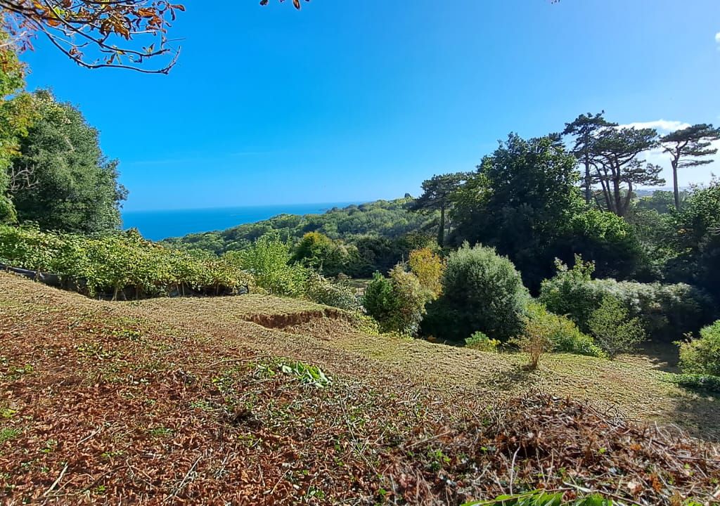 Land for sale in Substantial Coastal Building Plot, Torquay, Devon TQ1