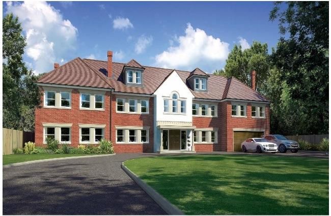 Nancy Down, Watford WD19  