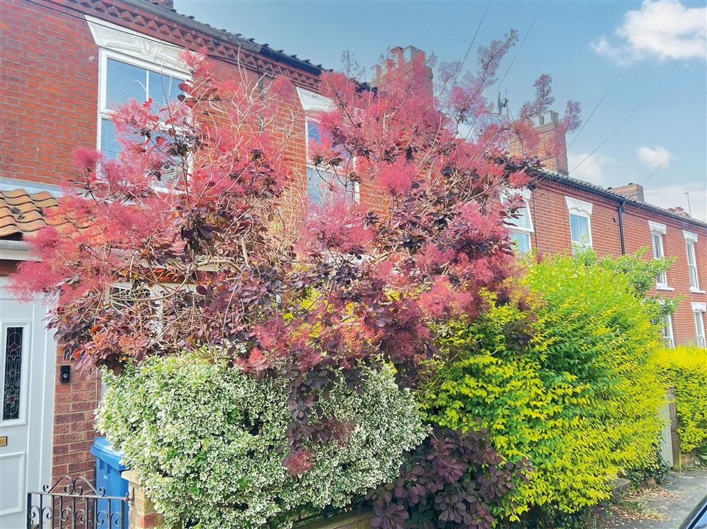 2 bed terraced house for sale in Knowsley Road, Norwich NR3, £125,000