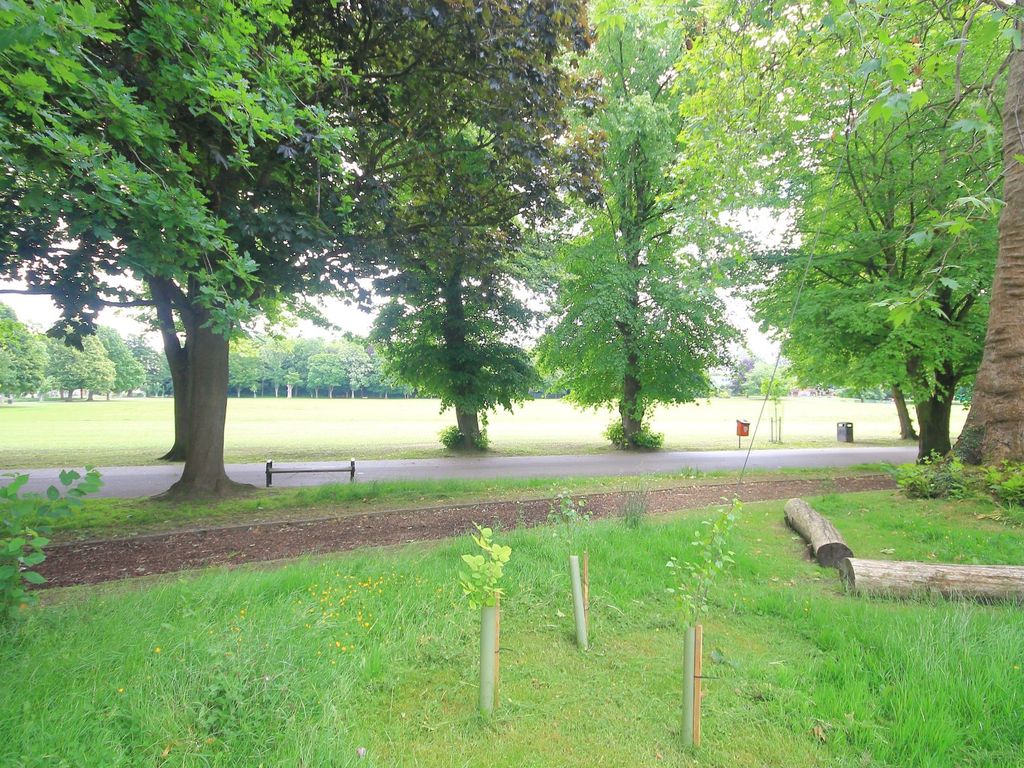 2 bed terraced house for sale in Park Road, Faversham ME13, £295,000