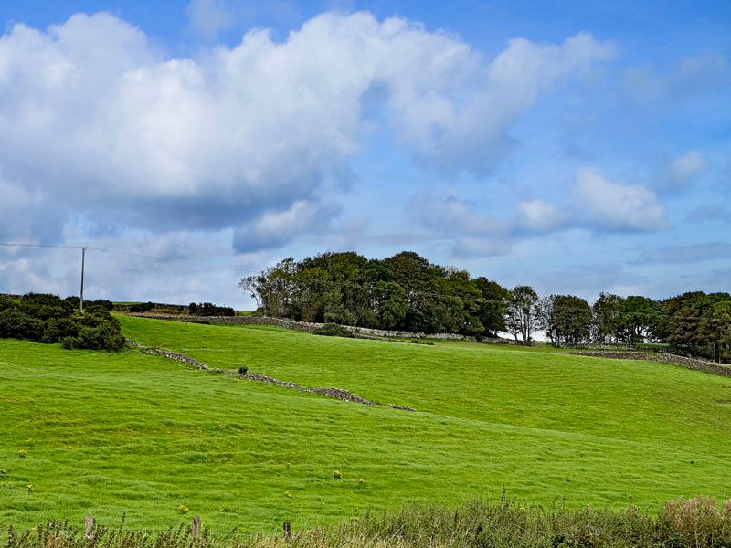 Land for sale in Twynholm, Kirkcudbright DG6, £85,000 Zoopla