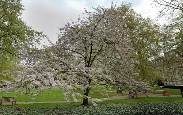 Grosvenor Square, London W1K  