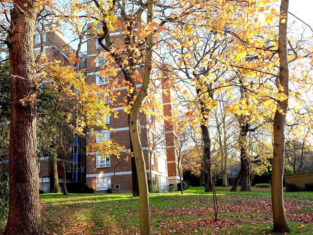 Farquhar Road, London SE19  