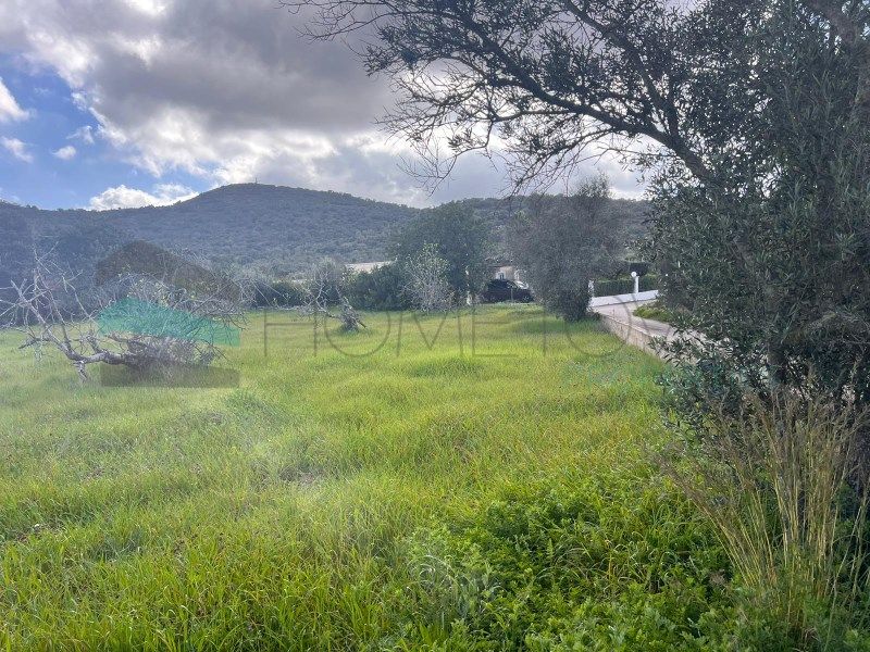 Land for sale in Santa Bárbara De Nexe, Faro, Faro, £32,464 Zoopla