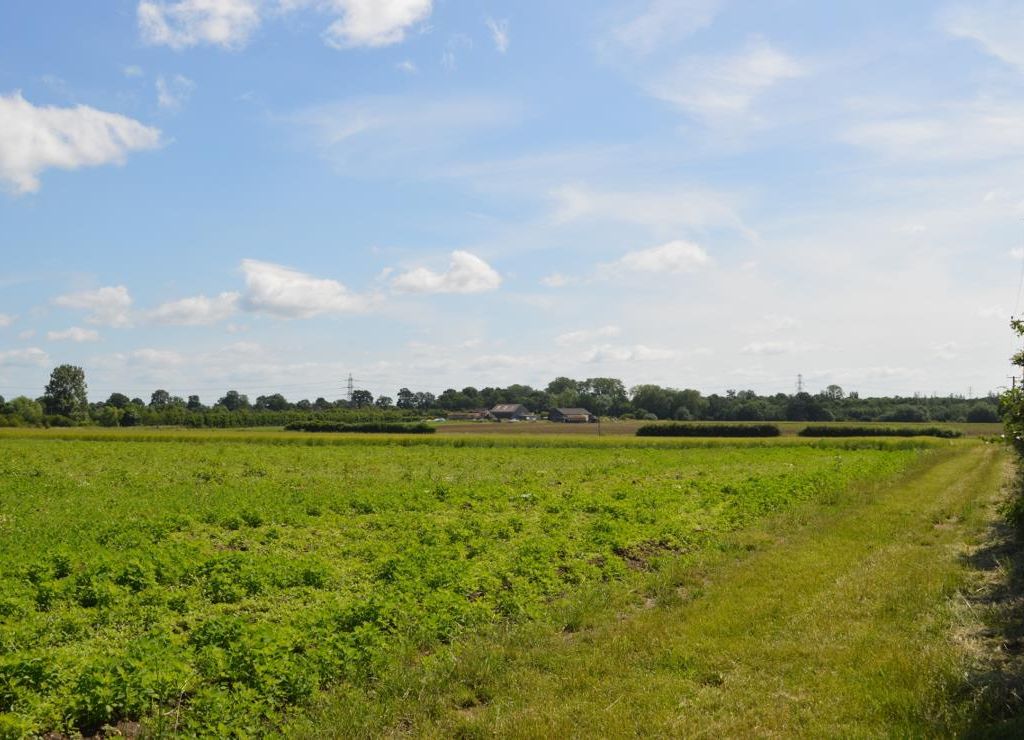 Lodge Farm, Park Farm Road, Upminster, Greater London RM14  