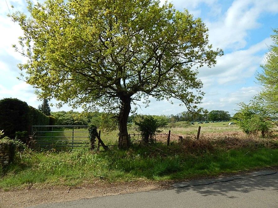 Land for sale in Land Off Elmham Road, Beetley, Dereham, Norfolk NR20