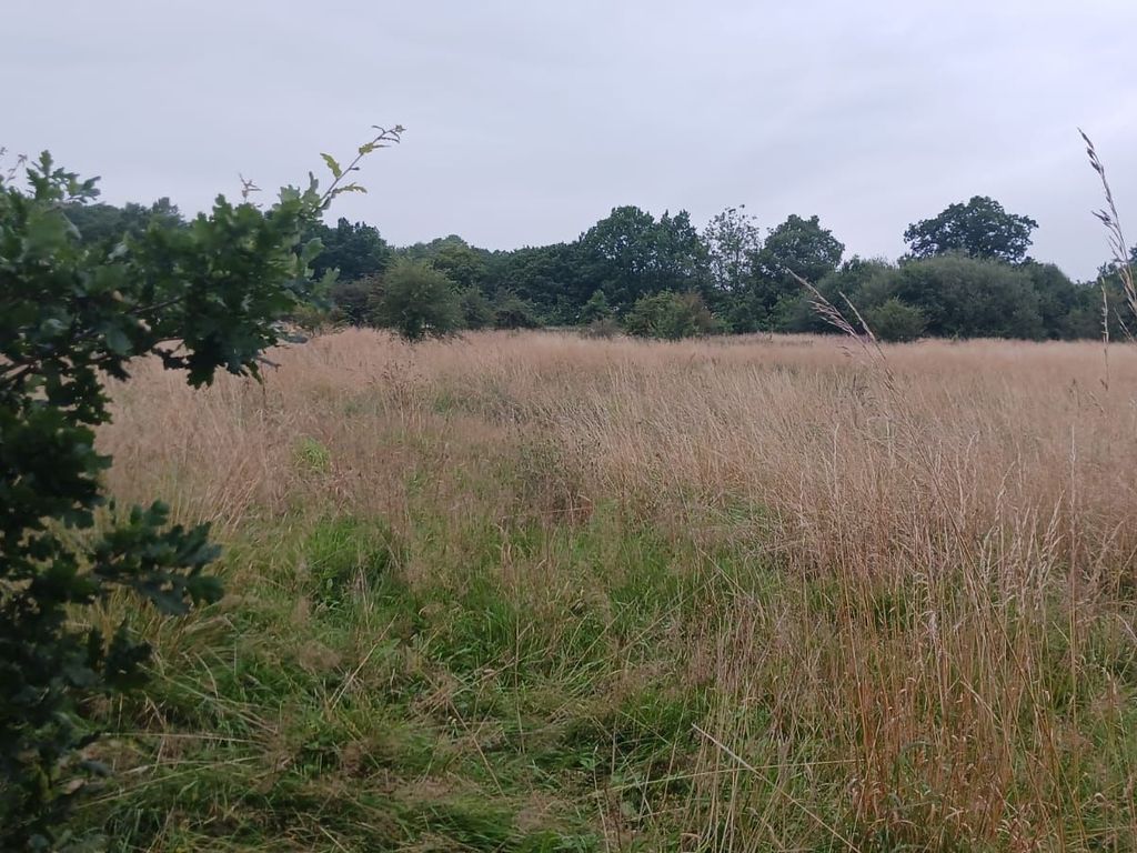 Land for sale in Gunner Lane, Rubery, Birmingham B45, £11,000 Zoopla