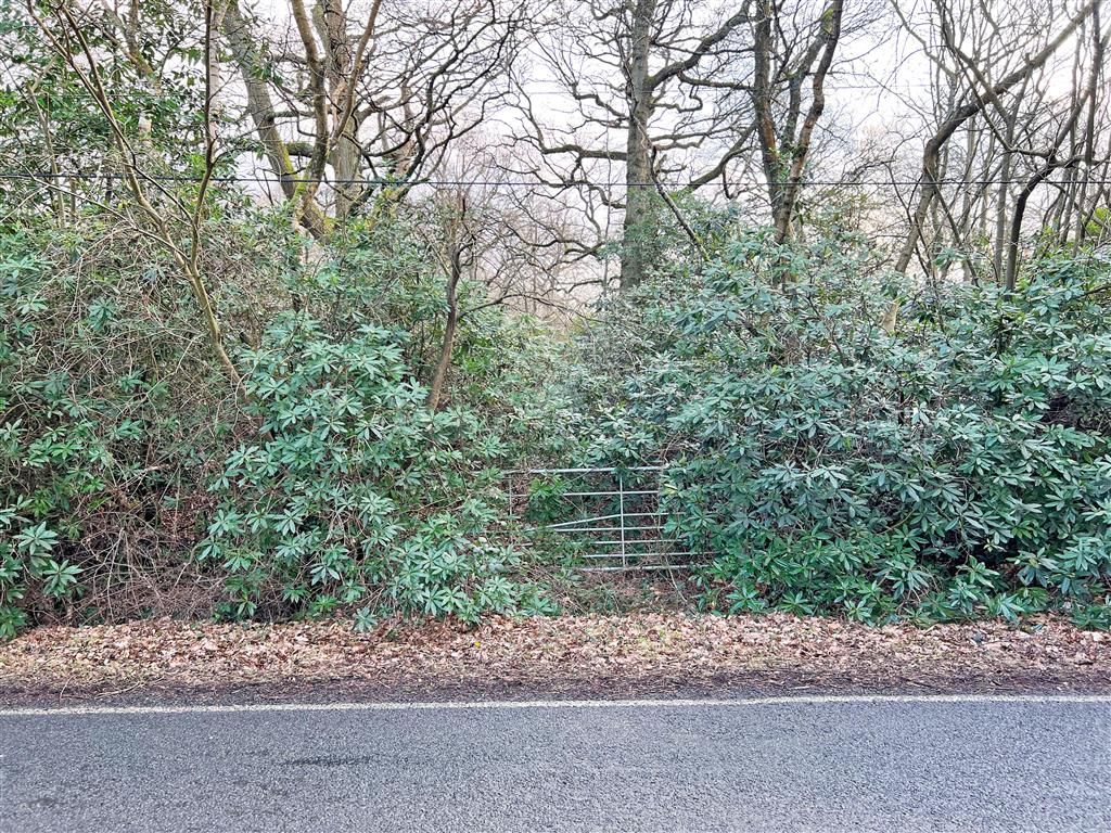 Land for sale in Forest Road, Colgate, Horsham RH12 Zoopla