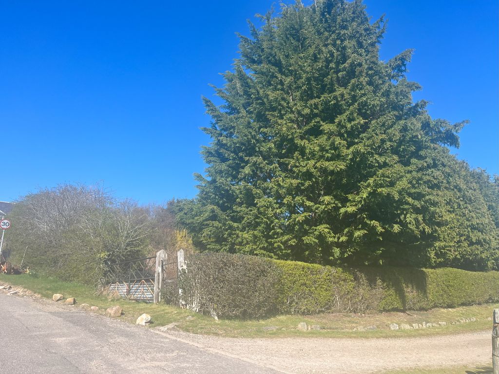 Land for sale in Archiestown, Moray AB38, £79,500 Zoopla