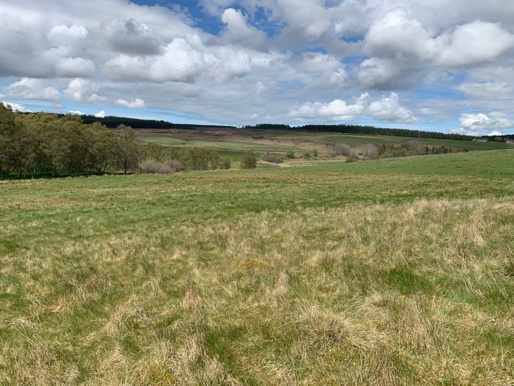 Land for sale in Burnside Of Ballintomb, Carron, Aberlour AB38, £