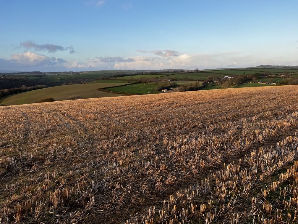 Land for sale in Torr Quarry Industrial Estate, East Allington, Totnes