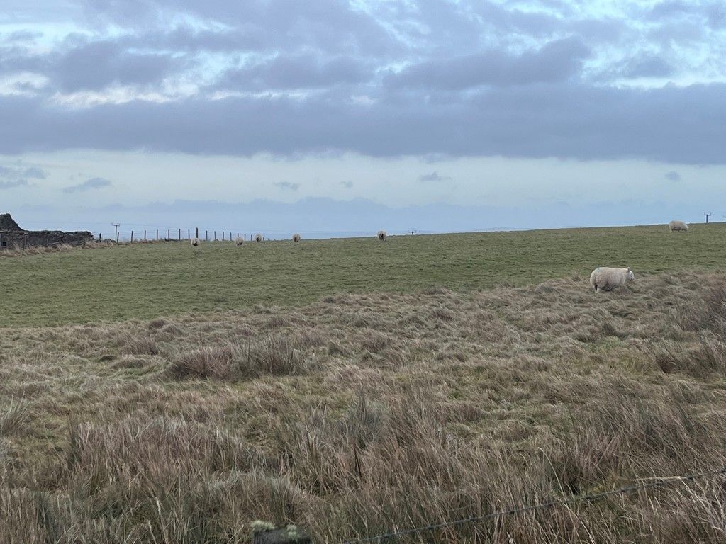 Land for sale in John O' Groats, Wick KW1 Zoopla