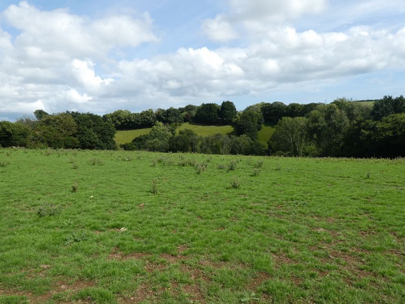 Land for sale in Lodge Hill, Liskeard PL14 Zoopla