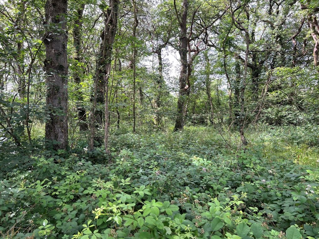 Land for sale in Marhamchurch, Bude, Cornwall EX23, £30,000 Zoopla