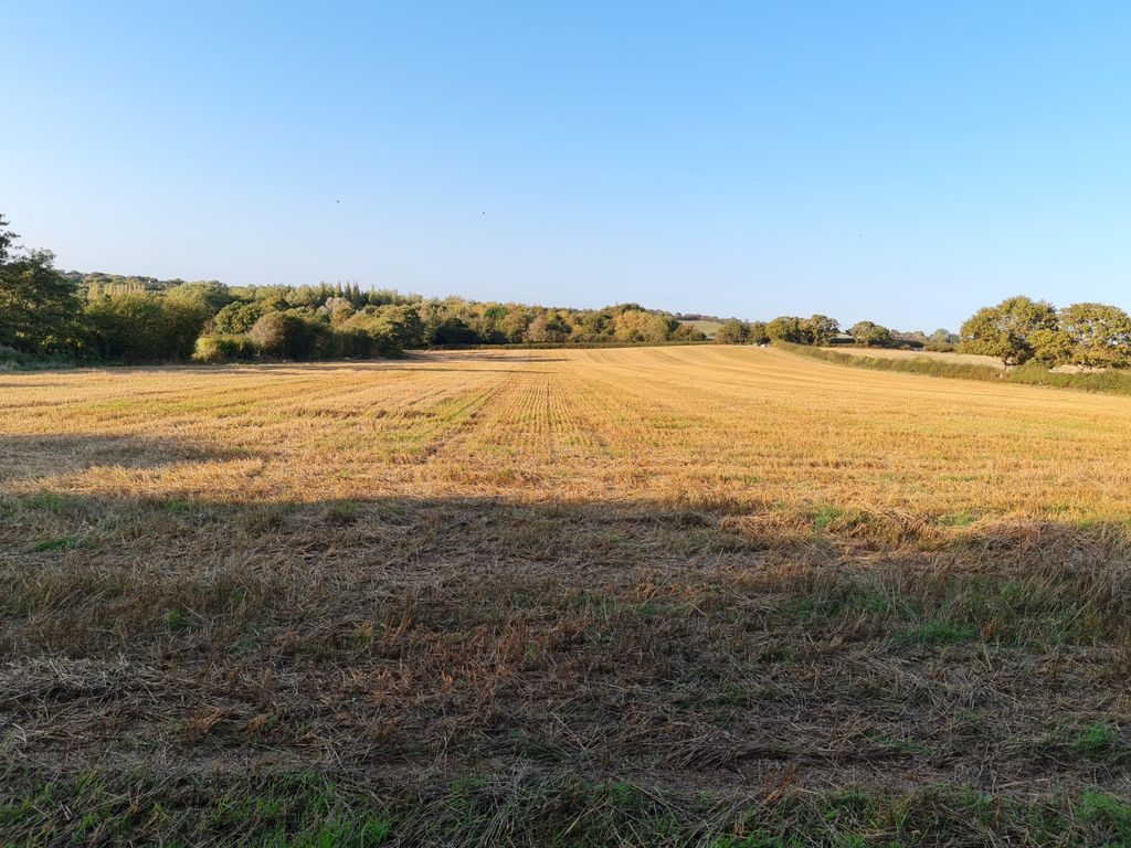 Equestrian property for sale in Rosemary Lane, Fairlight, Hastings TN35