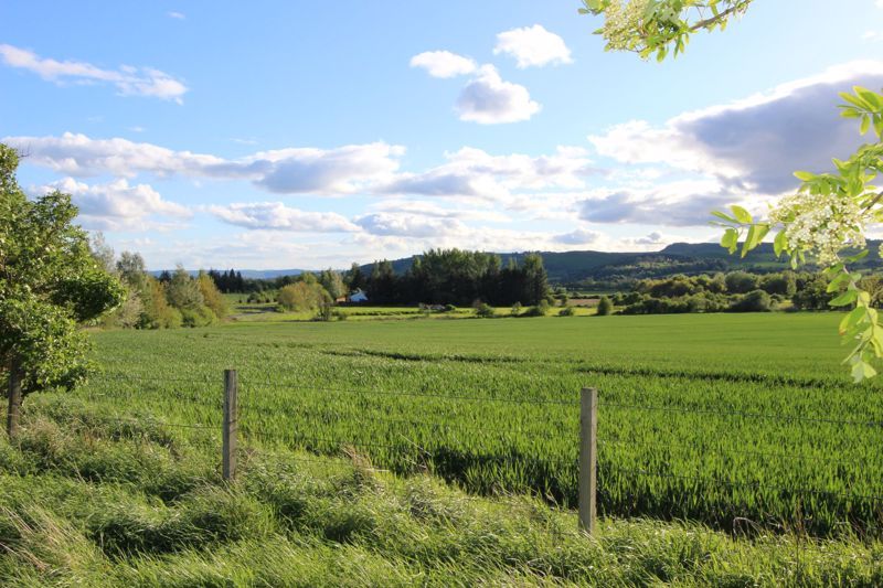 Property for sale in Rait, Perth PH2, £108,000 Zoopla