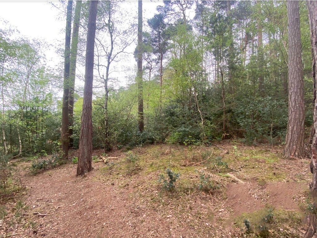 Land for sale in Celery Lane, Lower Bourne, Farnham, Surrey GU10, £