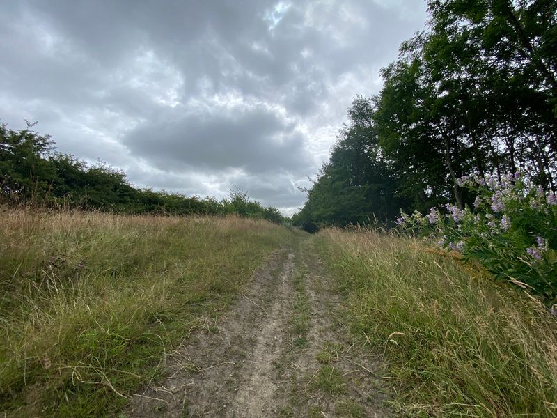 Land for sale in Wood Lane, Brinsworth, Rotherham S60, £200,000 Zoopla