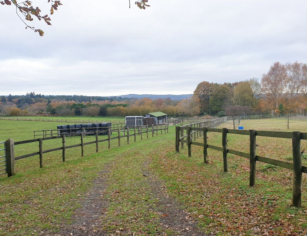 Land for sale in Highfield Lane, Godalming GU8, £295,000 Zoopla