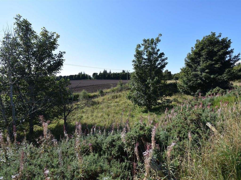 Land for sale in Invergordon IV18, £80,000 Zoopla