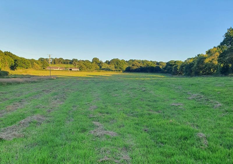 Land for sale in Cookbury, Holsworthy EX22, £3,000 Zoopla